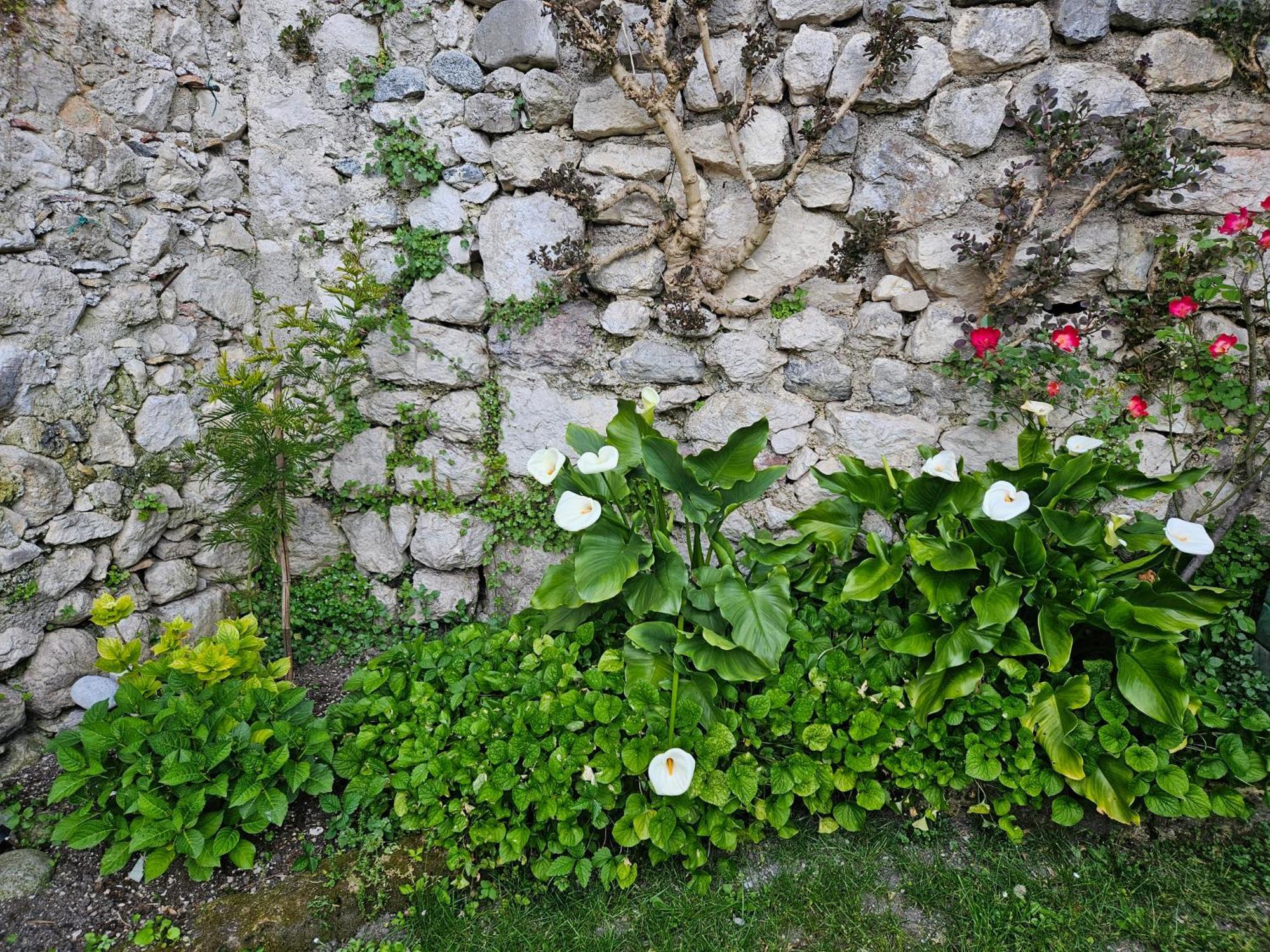 Gardainn Giardino 38A Riva del Garda Exterior foto